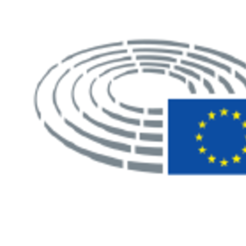 Istituzioni e reti europee